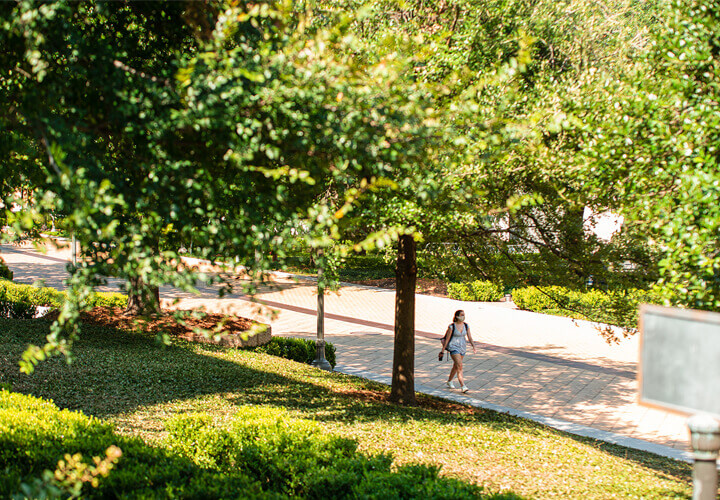 Student walks under tree on University of Texas campus