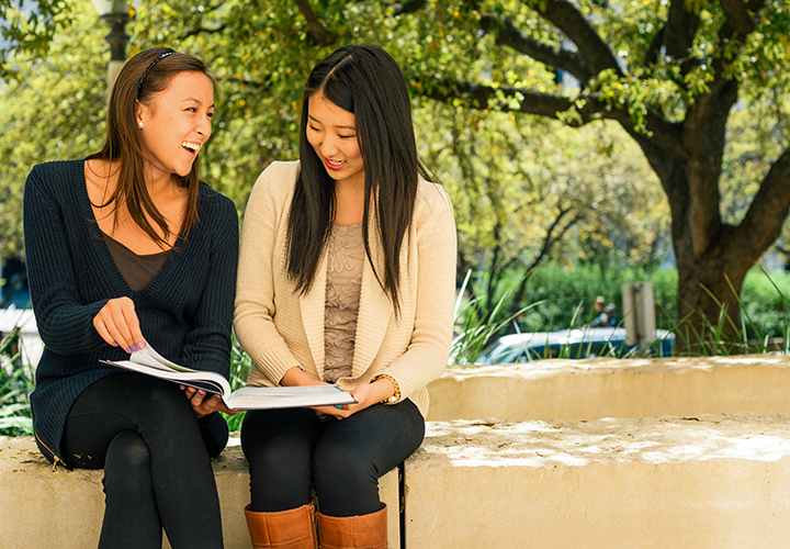 Two female students sitting under a tree looking at a book.