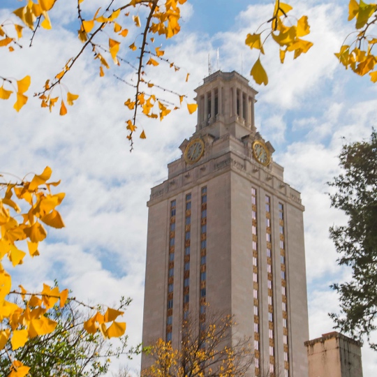 University of Texas tower building with yellow flowers in foreground.